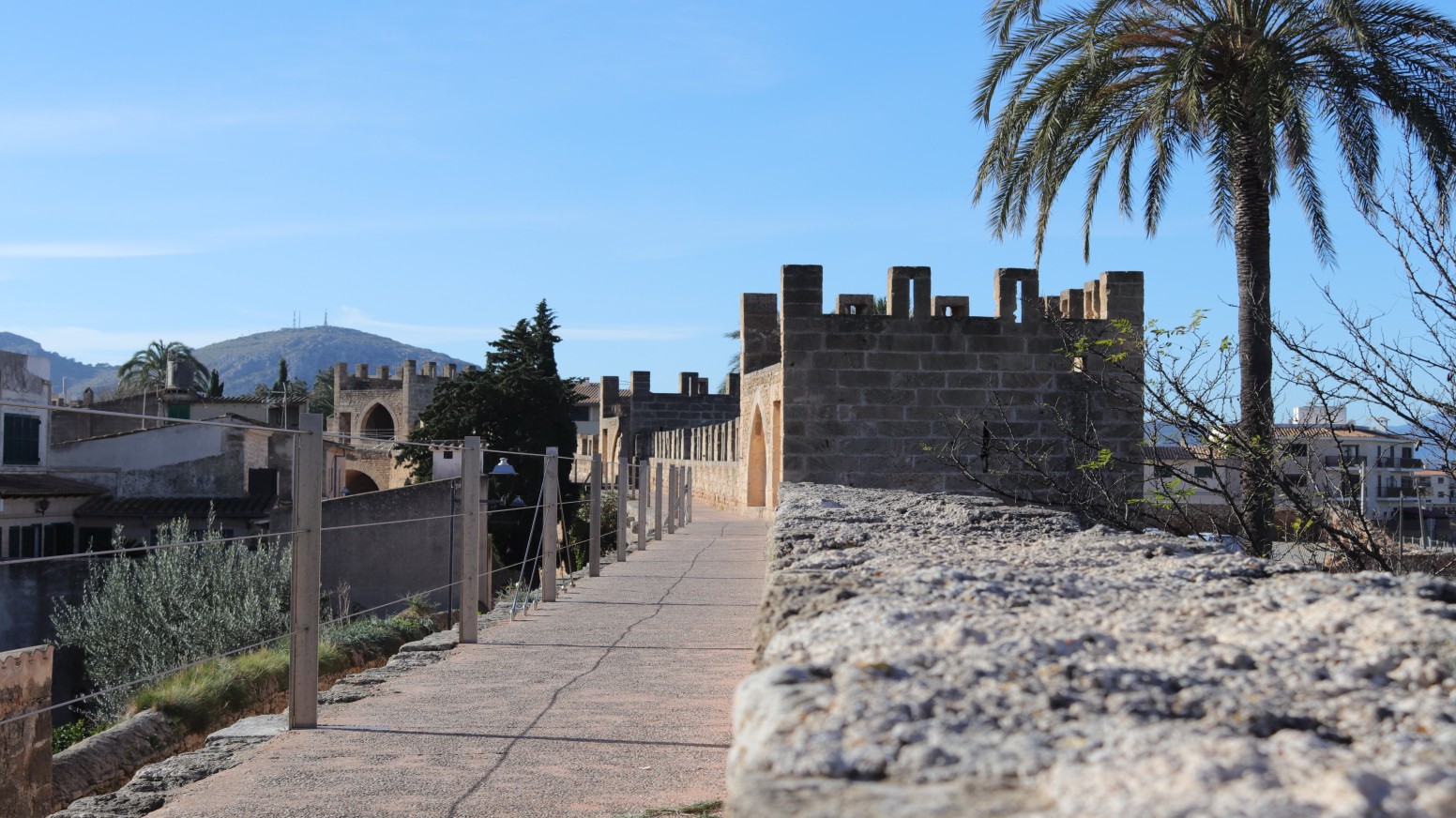 Actividades en Alcudia